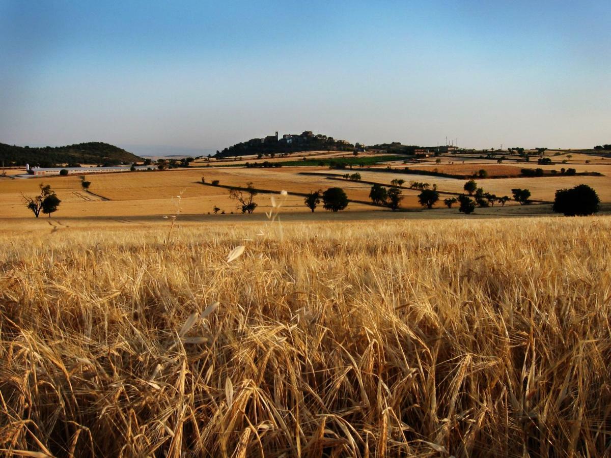 La Granja Del Besa Pensionat Cubells Exteriör bild